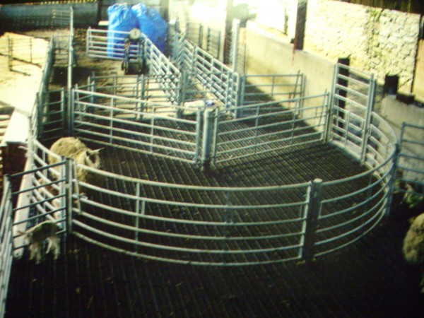 Sheep Pens